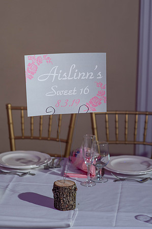 Aislinn's Sweet 16-15