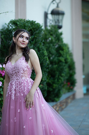 Aislinn's Sweet 16-105
