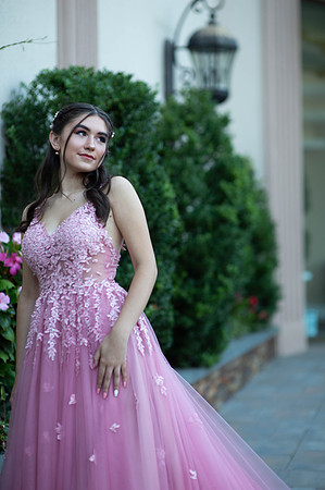 Aislinn's Sweet 16-106