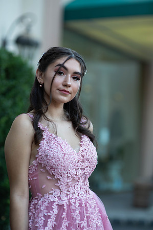 Aislinn's Sweet 16-133